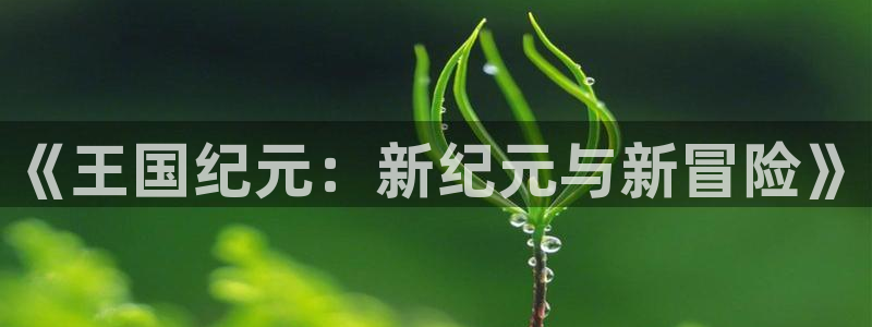 巅峰国际下载：《王国纪元：新纪元与新冒险》