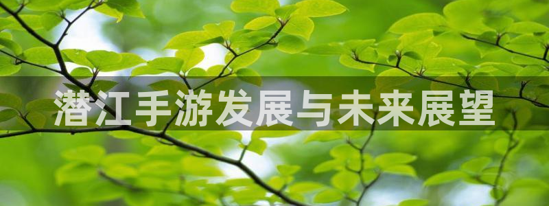 巅峰国际平台：潜江手游发展与未来展望