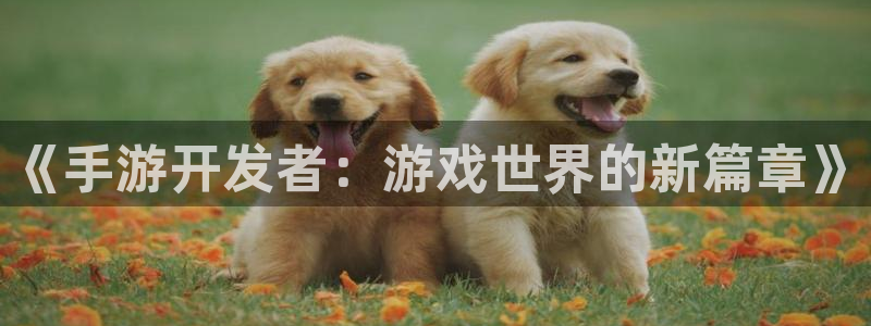巅峰国际官网