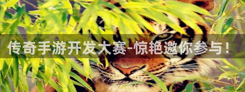 巅峰国际平台：传奇手游开发大赛-惊艳邀你参与！