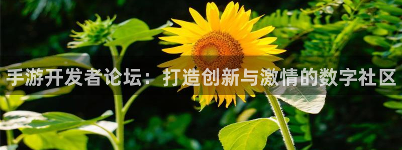 巅峰国际平台：手游开发者论坛：打造创新与激情的数字社区