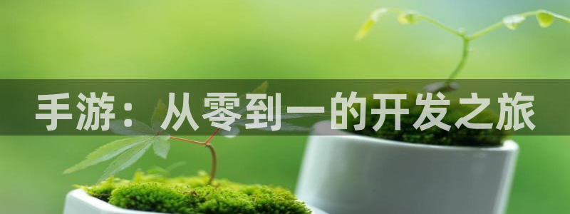 巅峰国际首页：手游：从零到一的开发之旅