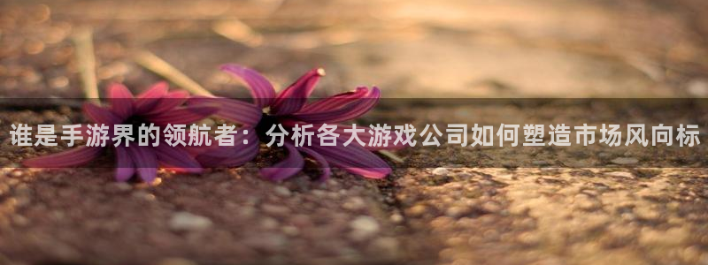 巅峰国际注册：谁是手游界的领航者：分析各大游戏公司如何塑造市