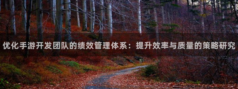 巅峰国际登陆：优化手游开发团队的绩效管理体系：提升效率与质量