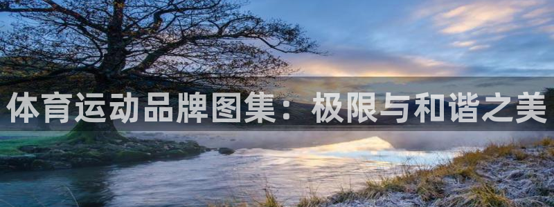 vsport体育在线官网