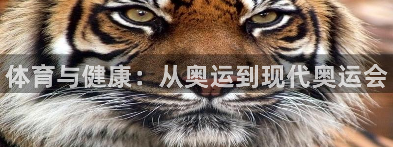 vsport体育在线官网