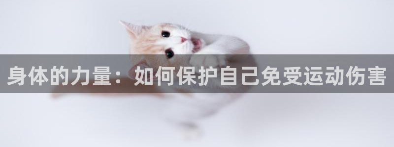 vsport体育