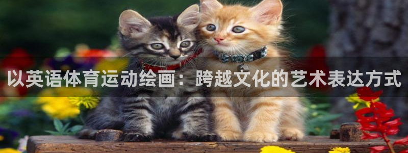 vsport体育在线官网