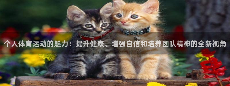 vsport体育：个人体育运动的魅力：提升健康、增强自信和培养团队精神的全新视角