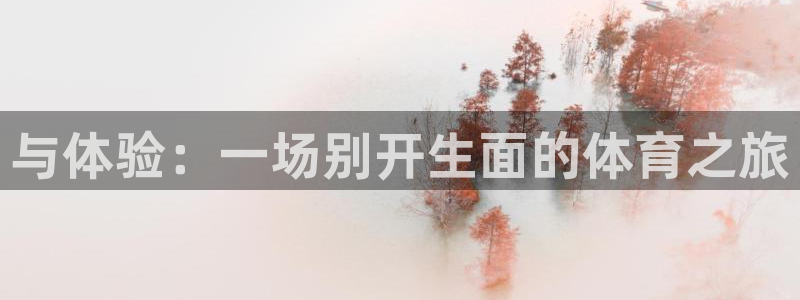 vsport体育在线官网