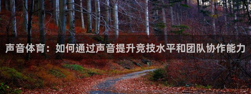 vsport体育在线官网：声音体育：如何通过声音提升竞技水平和团队协作能力