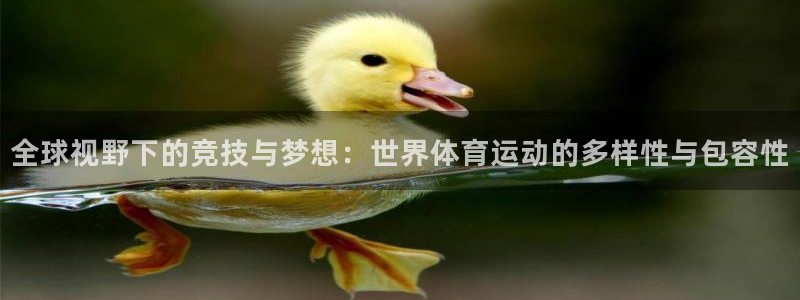 vsport体育：全球视野下的竞技与梦想：世界体育运动的多样性与包容性