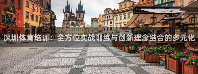 vsport体育在线官网：深圳体育培训：全方位实战训练与创新理念结合的多元化