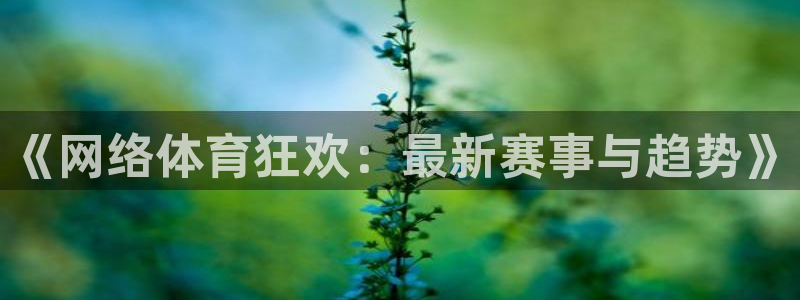 vsport体育：《网络体育狂欢：最新赛事与趋势》