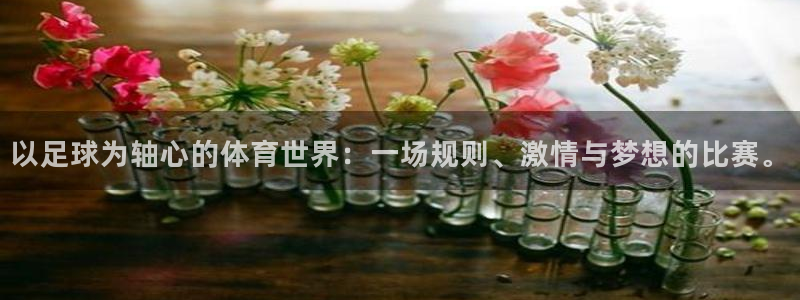 vsport体育：以足球为轴心的体育世界：一场规则、激情与梦想的比赛。