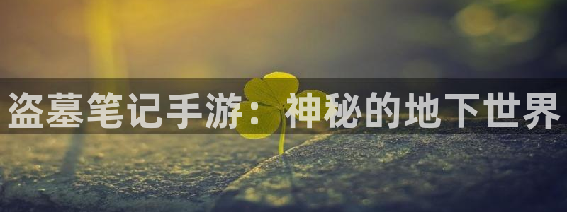 巅峰国际：盗墓笔记手游：神秘的地下世界